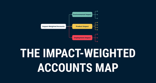 Impact-weighted Accounts Map is now available!!