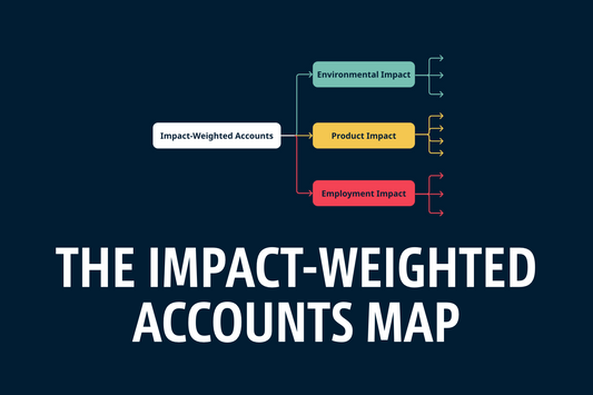 The Impact Weighted Accounting Map